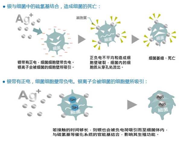 抗菌剂的作用，抗菌剂有什么作用