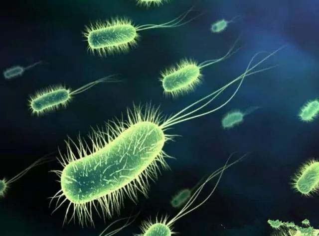 抗菌剂能杀死微生物吗