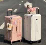 箱包防霉涂料的用途及箱包防霉处理方案