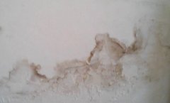 墙面除霉菌斑的最好方法_墙体霉斑的处理