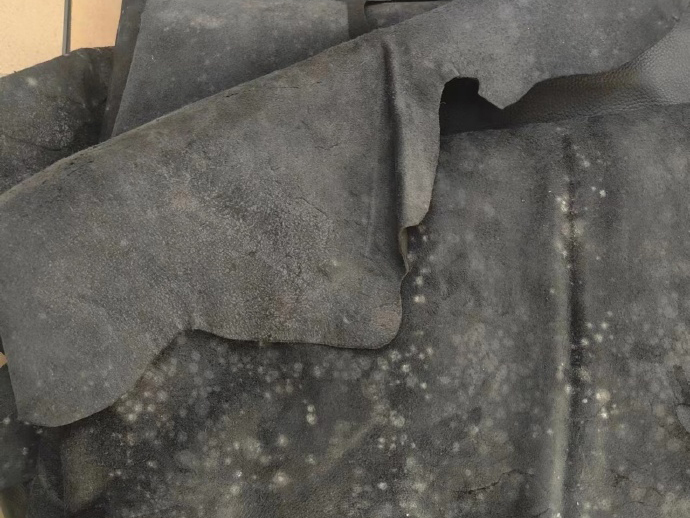 发霉的皮革