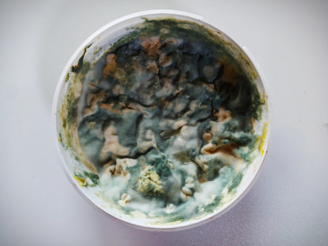 食品级防霉剂用在菜板为什么还发霉?根源在缝隙和湿度