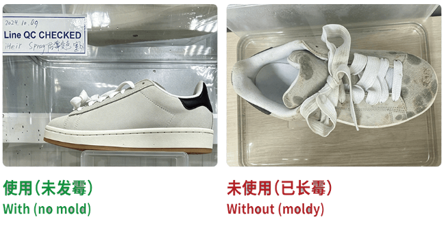 平板鞋使用防霉剂与未使用对比