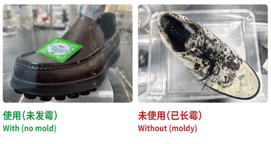 皮鞋放有防霉除臭片与没放对比